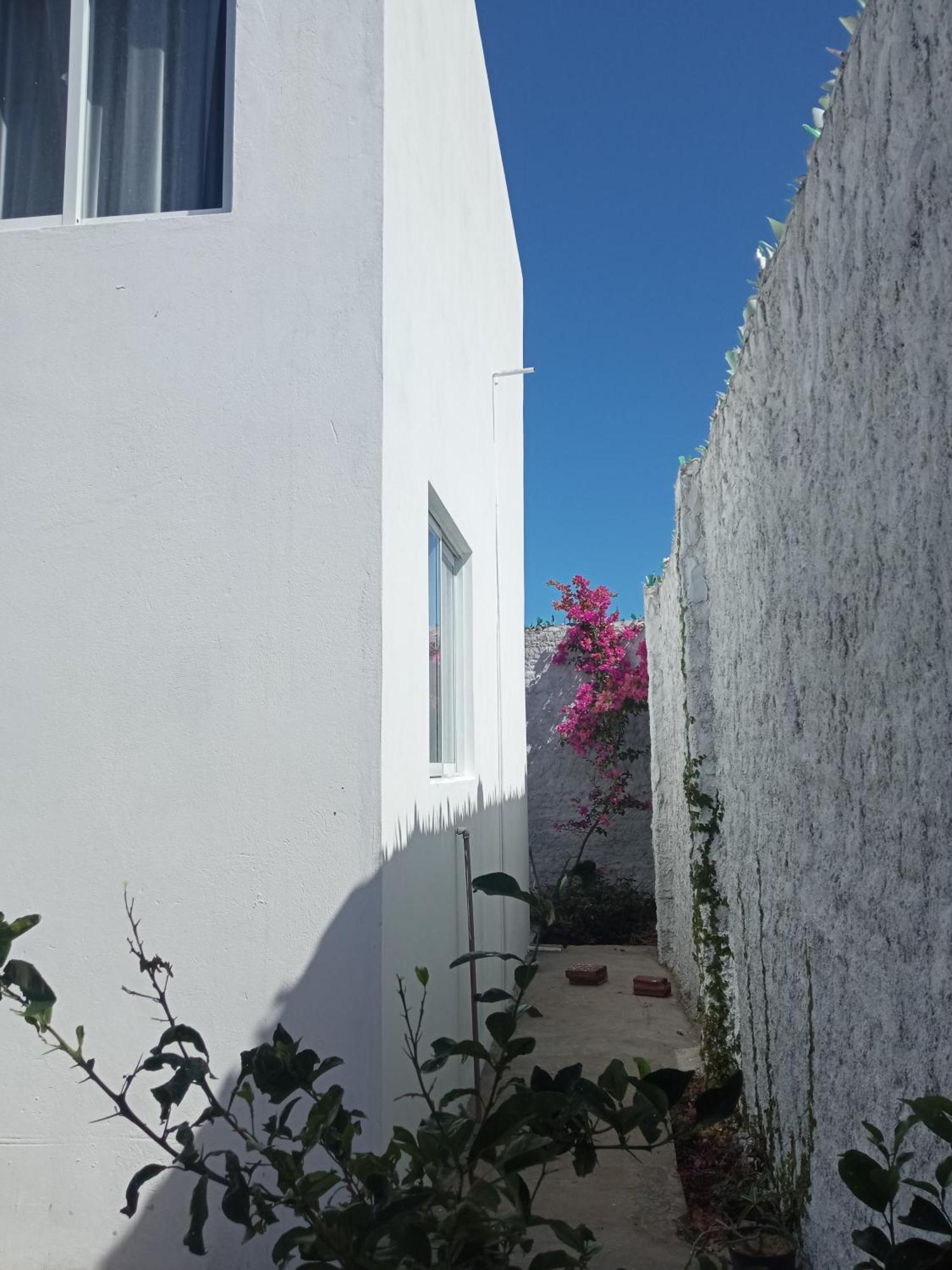 Casa Inti De Maracajau Villa ภายนอก รูปภาพ