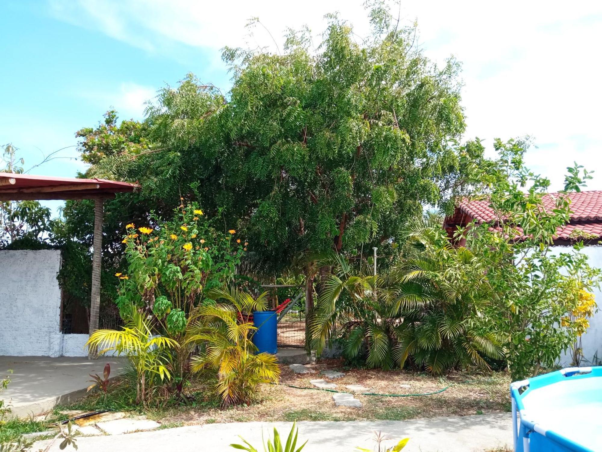 Casa Inti De Maracajau Villa ภายนอก รูปภาพ